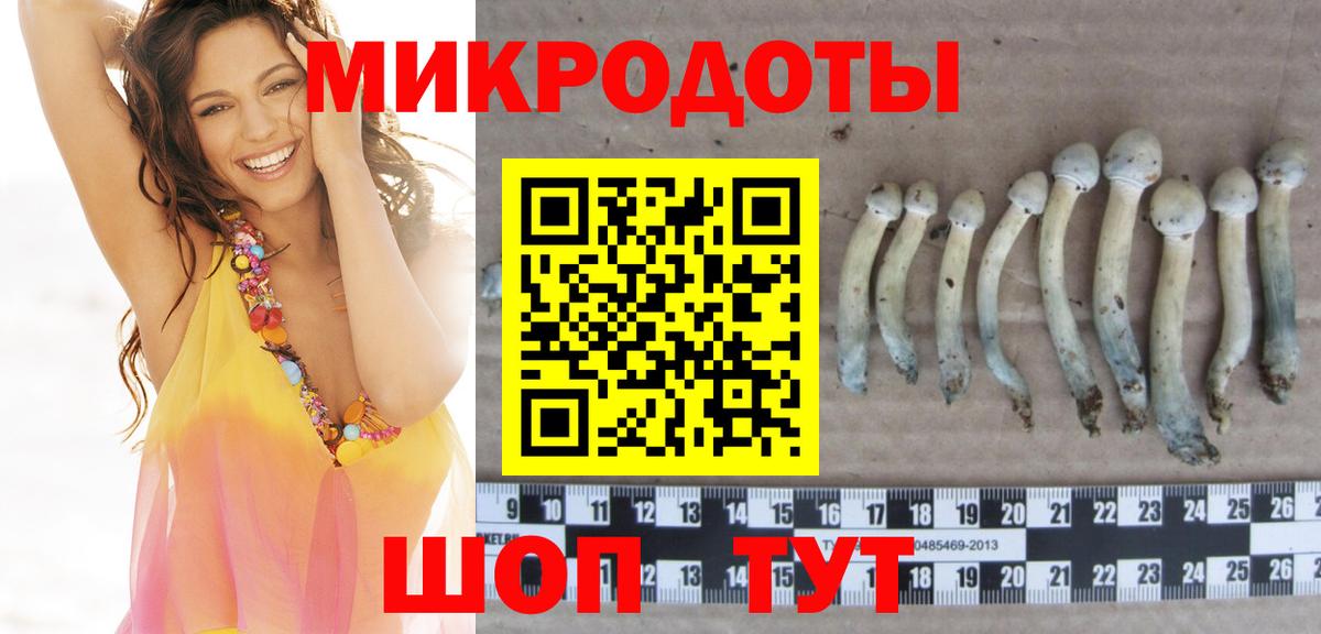 Псилоцибиновые грибы Cubensis Михайловка